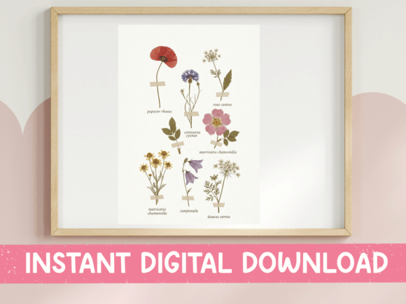 Botanical Wildflower Chart Sticker: Graphics for T-Shirt Designs